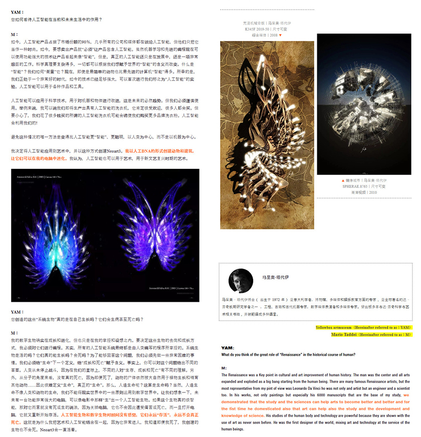 Neoart3 reviews - Quingdao Yellow Box Art Museum - Mario Taddei Interview 